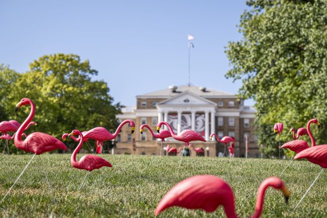 Fill-the-Hill Fundraising Event with Chancellor's Office behind